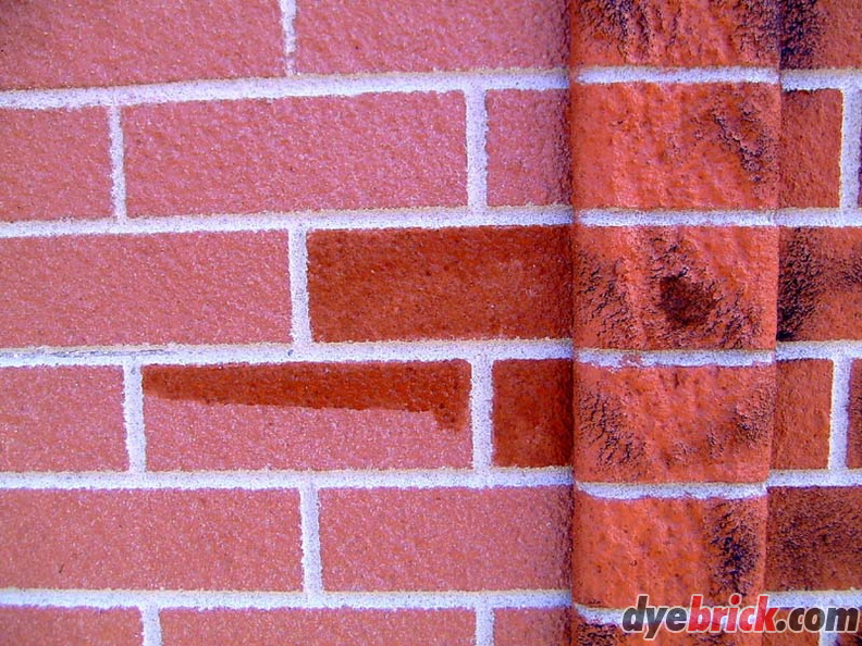 Brick tinting 010.JPG